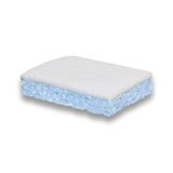 Tampon blanc sur éponge bleue grand modèle.